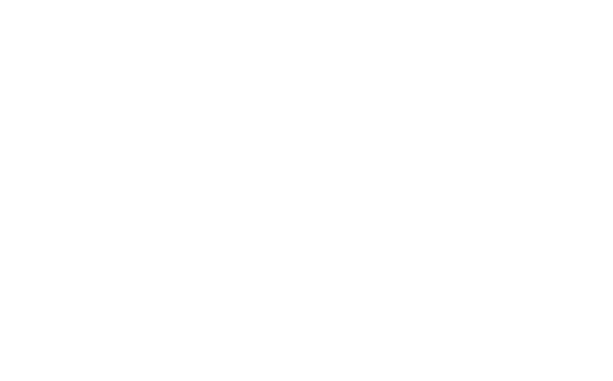 Logo Hôtel particulier Napoléon Lyon – référence de David Events DJ Live